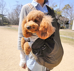 中型犬 ワンちゃん用おすすめスリング５選 ホームセンターblog